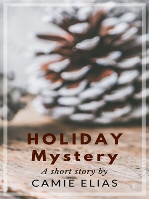 Holiday Mystery - ebook